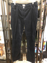 Load image into Gallery viewer, PURE Velvet Pants, size 14  #1193

