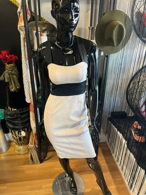 Karen Millens Bandage Dress, size 6  #3154